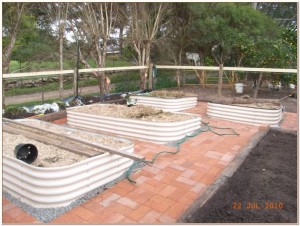 Raised Garden beds