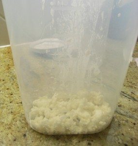 Kefir Grains In Jug