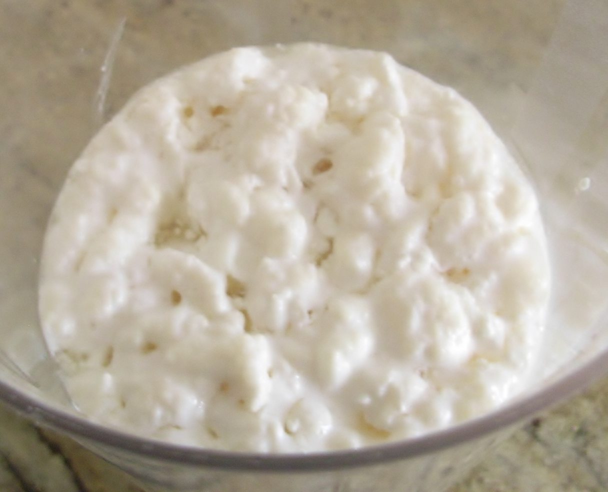 KEFIR