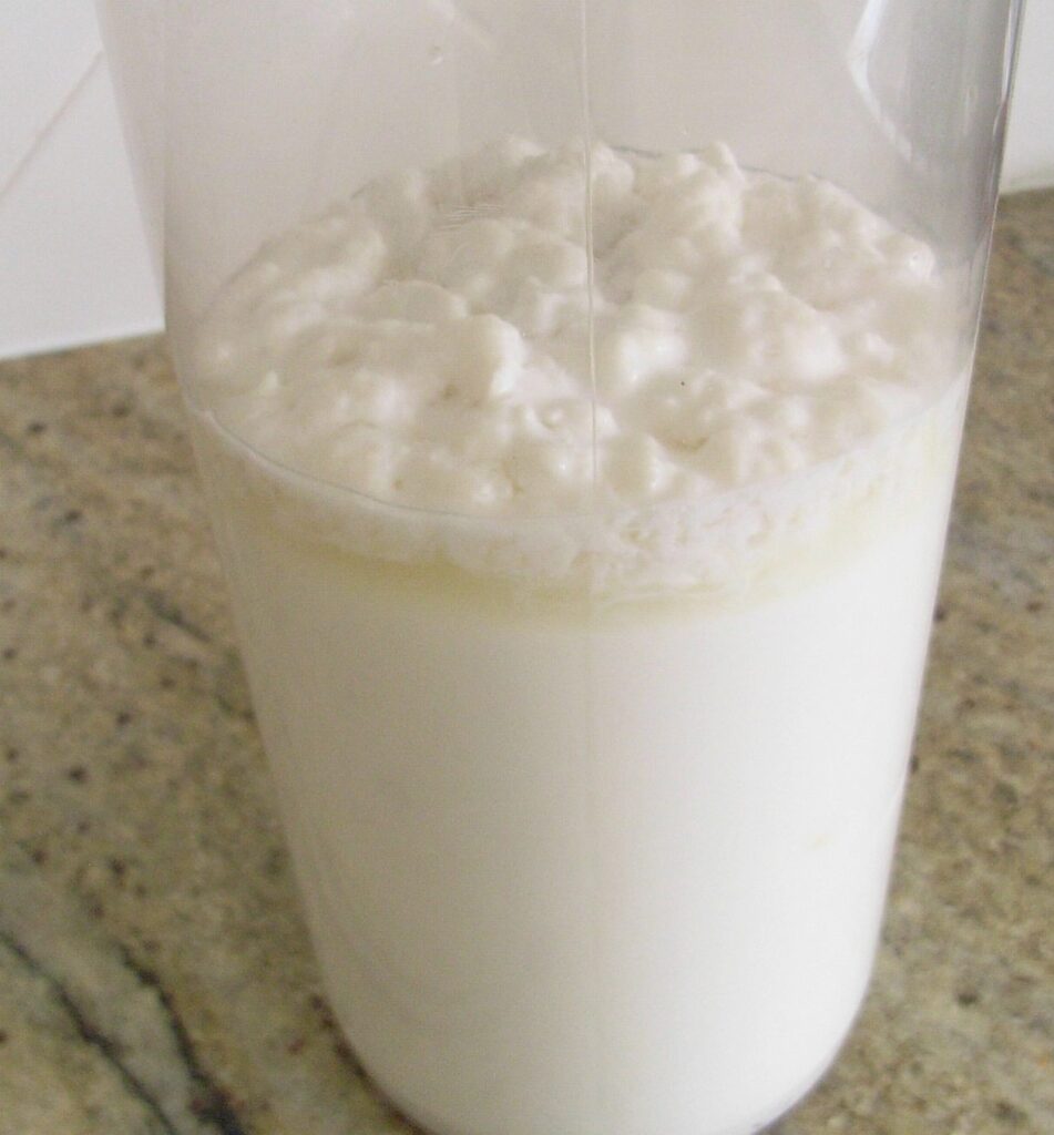 Kefir Ready To Stir