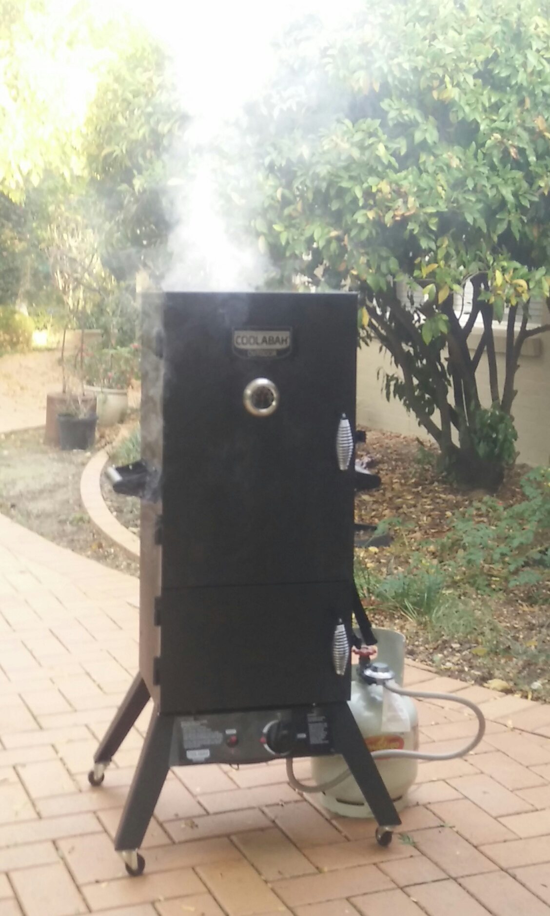 Smoking in the Gas Smoker