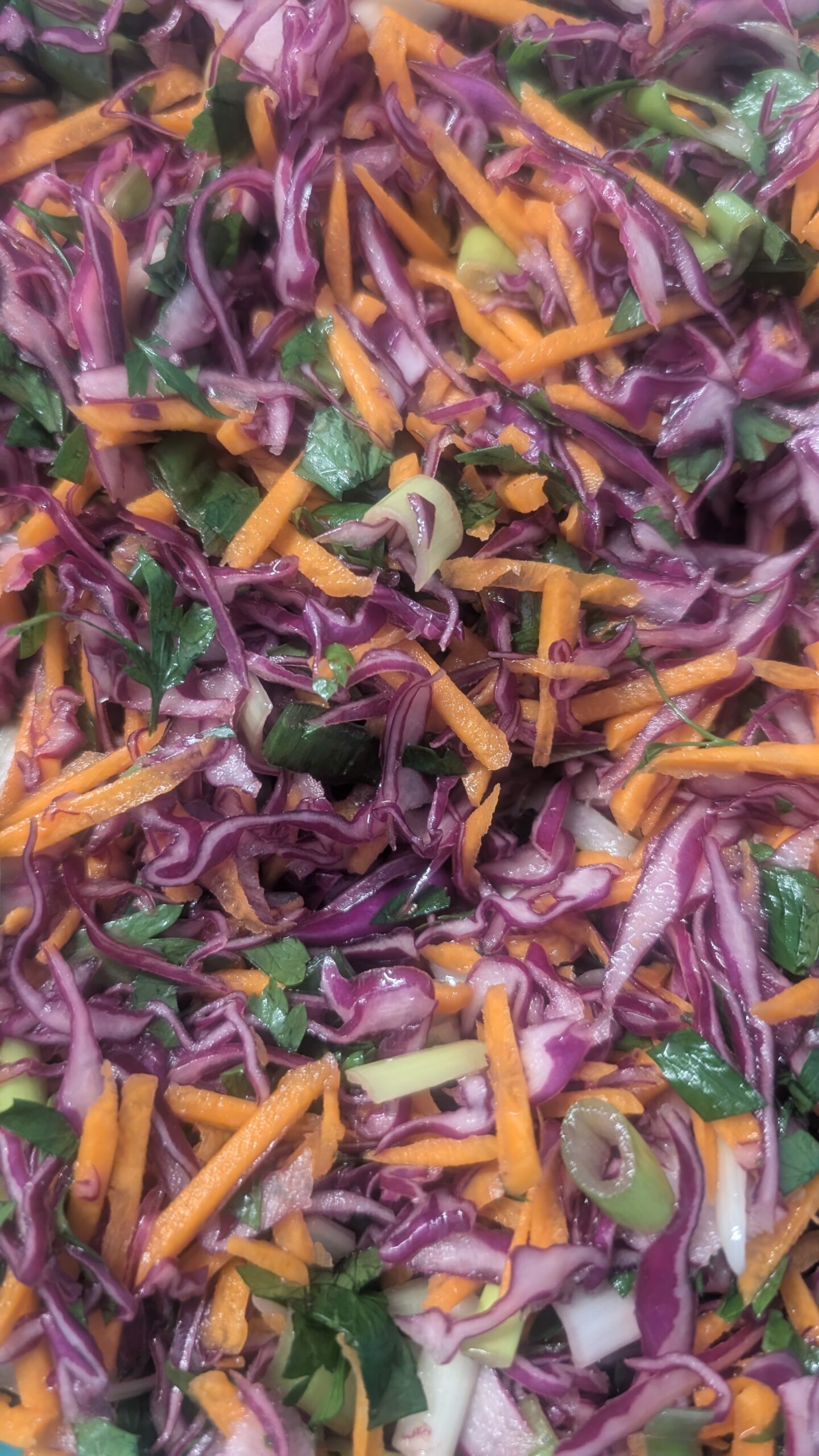 PICKLED CABBAGE SLAW