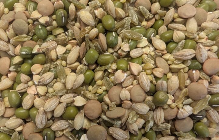 Pxl 20260317 054411806.mp