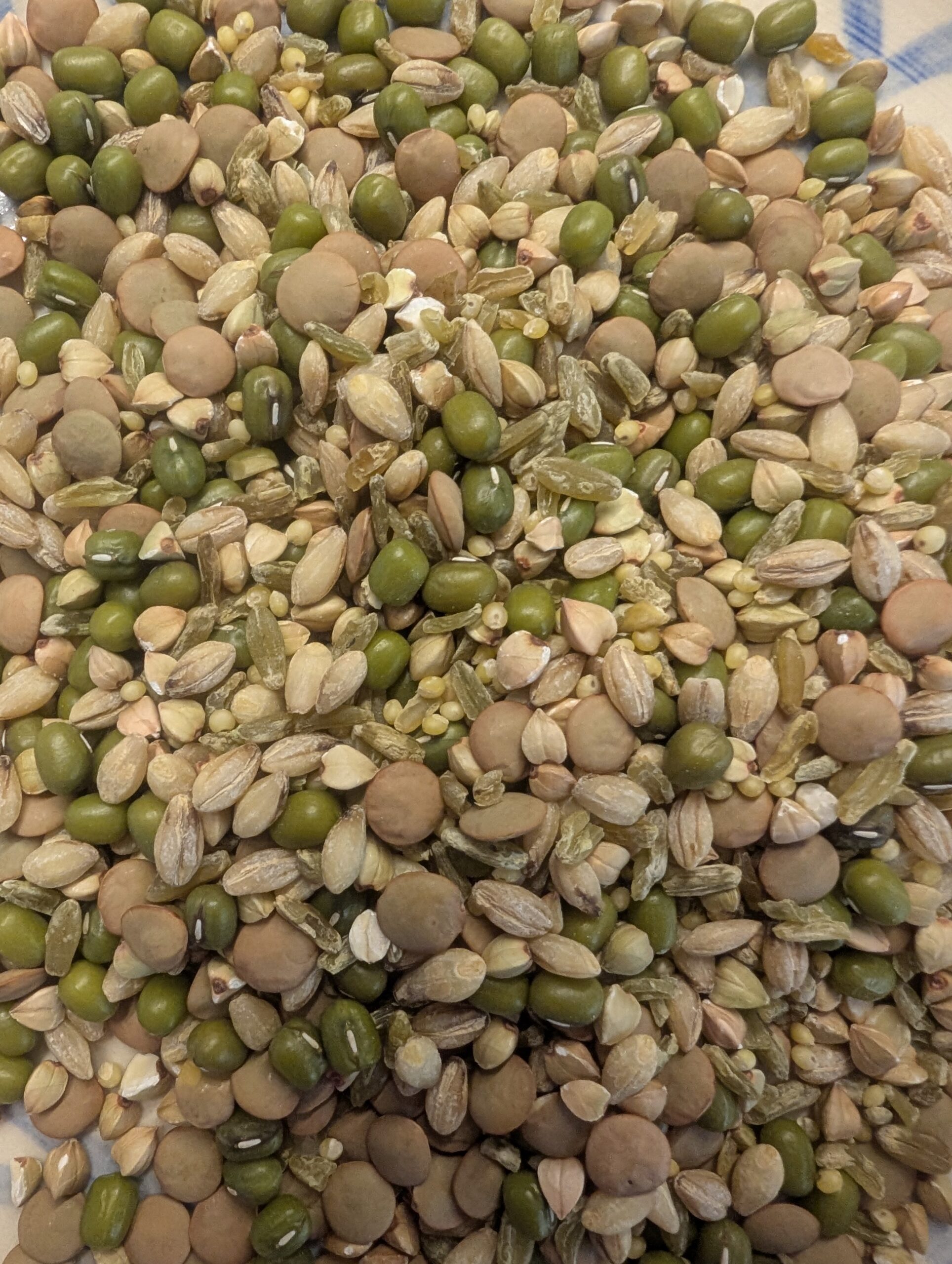 One Jar That Does Everything – 8-Grain Power Mix