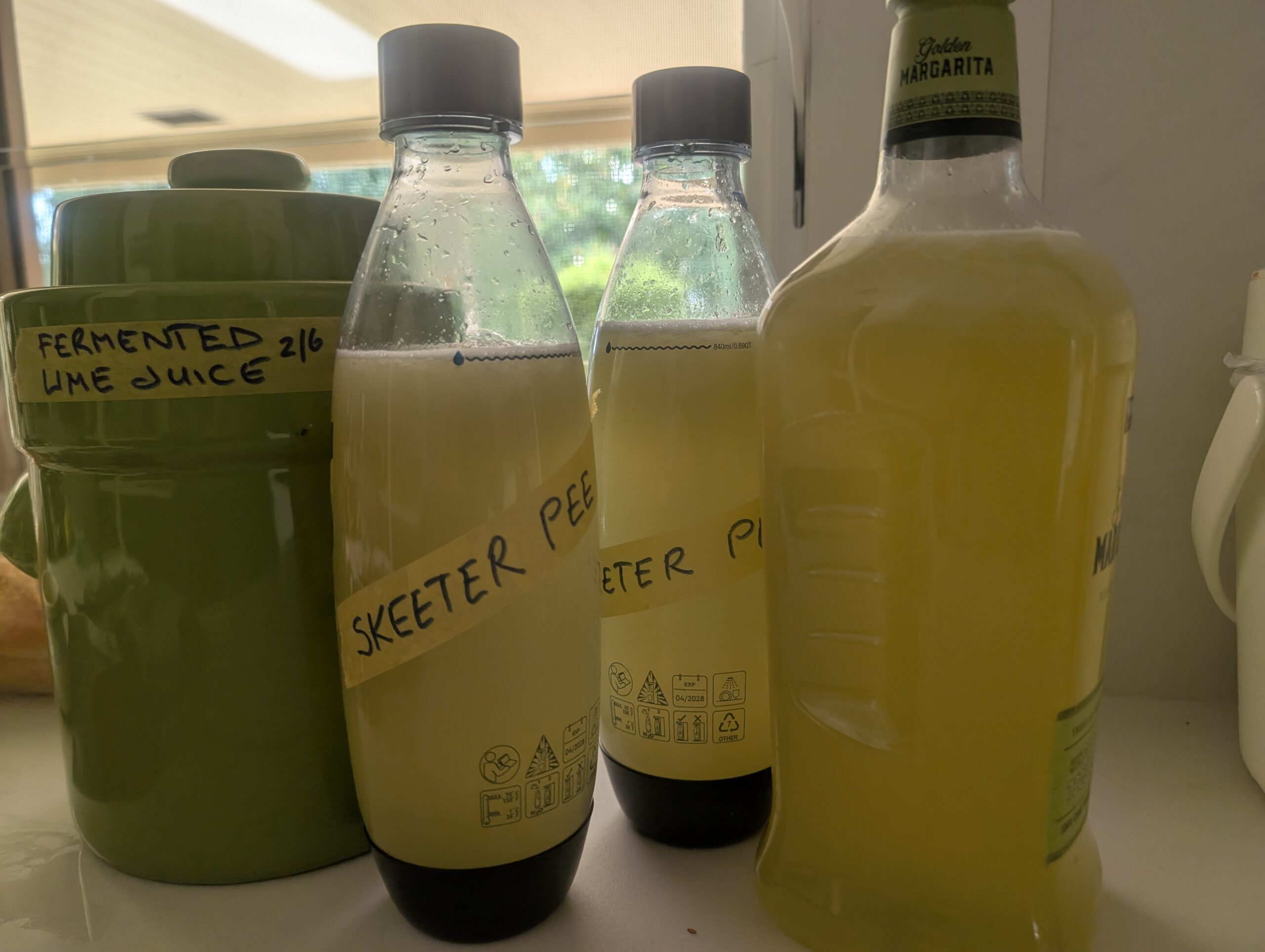 WHEN LIFE BRINGS YOU LEMONS – OR HERE IT’S LIMES