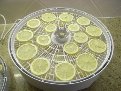 Lemons on dehydrator