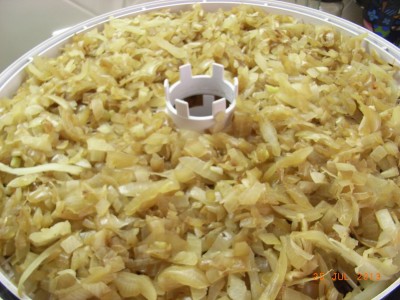 Onions ready to be dried